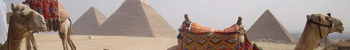 Egypt Camels and pyramids