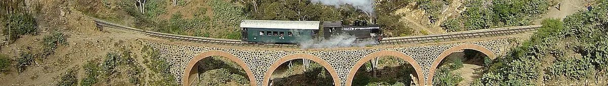 Eritrea Eritrean railway bridge