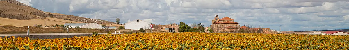 Cardejón banner1