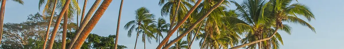 Fiji Shangri-La Fijian Resort
