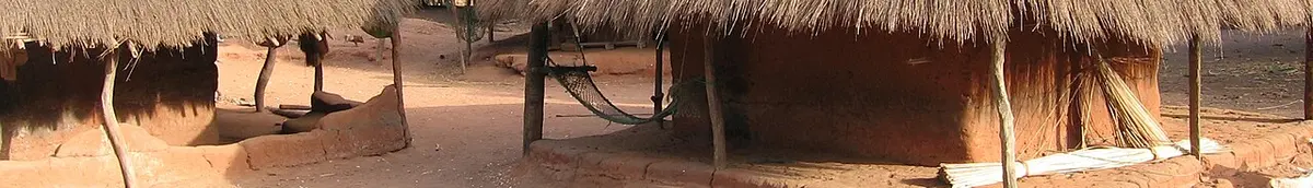 Caravela Island (Guinea-Bissau) Thatched houses