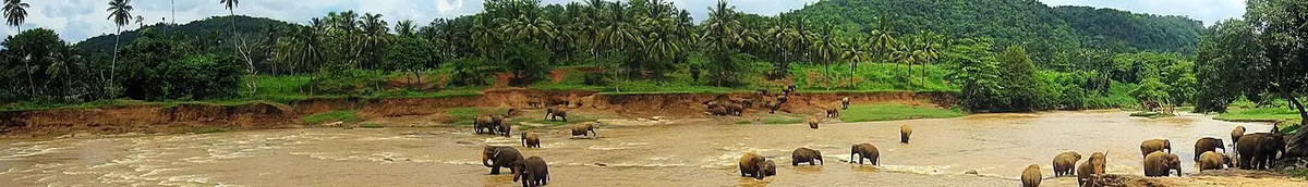 Sri Lanka