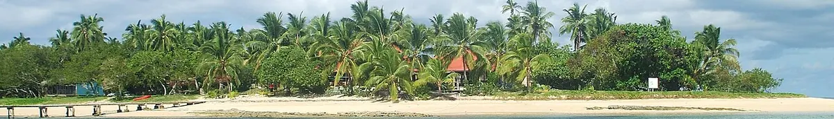 Tonga Beach with palms
