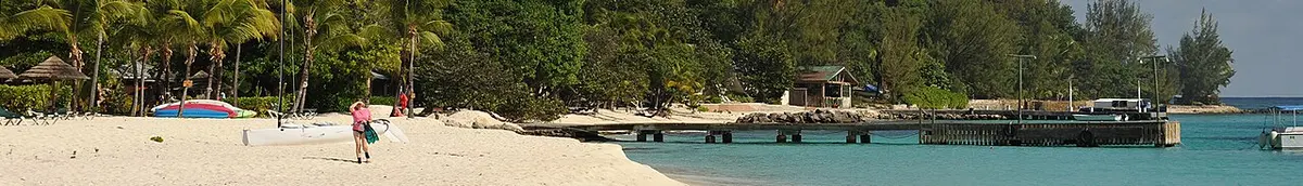 Grenadines Palm Island beach